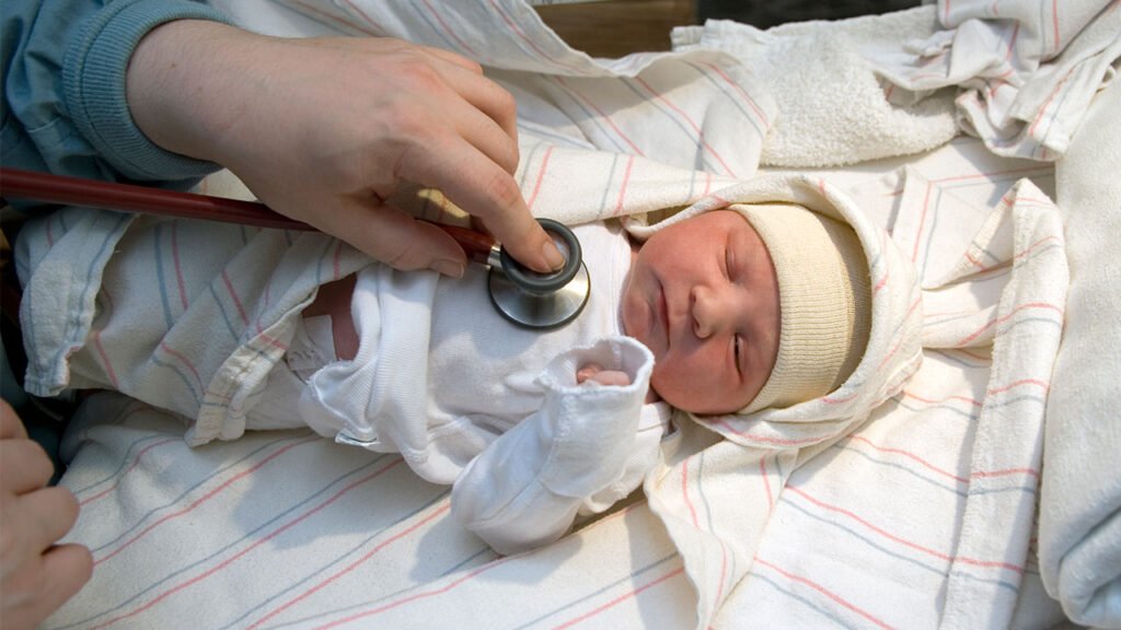 esame sangue tallone screening neonatale italiano esame sangue tallone screening neonatale italiano