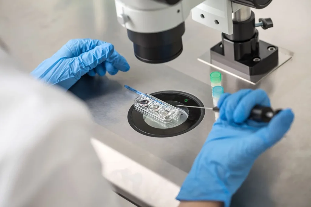 laboratorio IVf processo FIVET fecondazione in vitro laboratorio IVf processo FIVET fecondazione in vitro