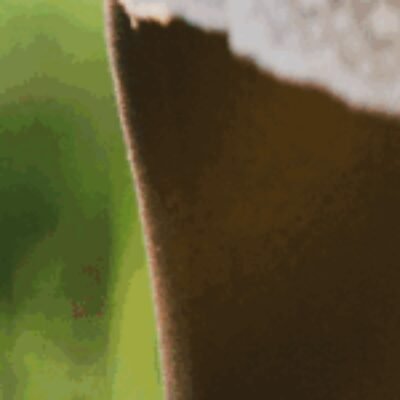 Foto del profilo di troll