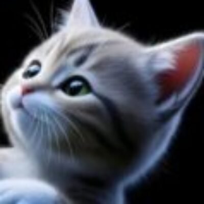 Foto del profilo di Ilmejo